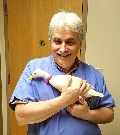 Dr. James Onorati, Des Moines Veterinarian