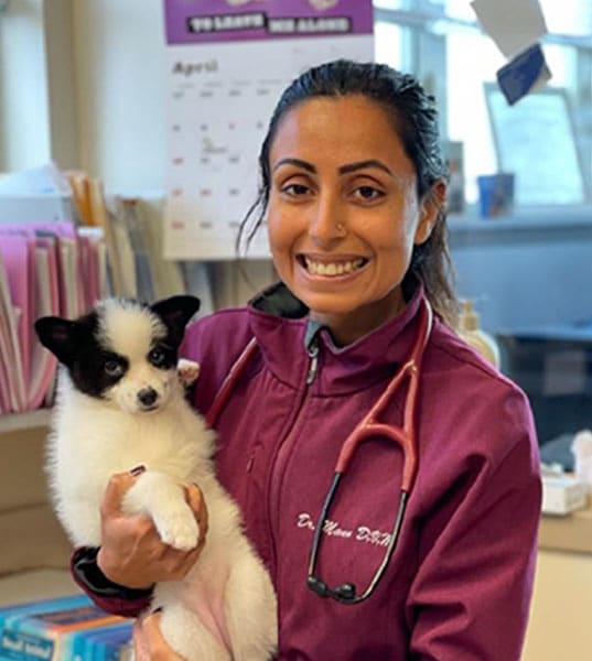 Dr. Arshdeep Mann, Des Moines Veterinarian