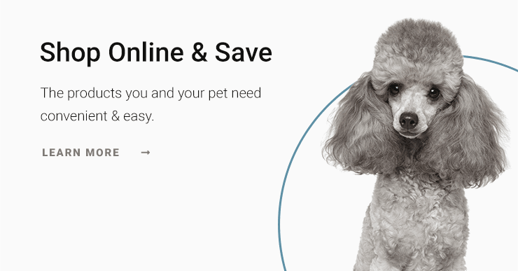 Des Moines Veterinary Hospital | Des Moines Speciality & Emergency Vet